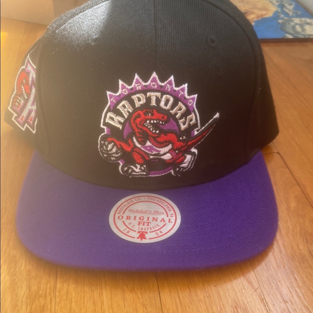 Black and Purple Toronto raptors hat from lids worn once.